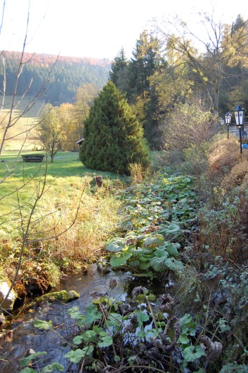 Nordenau Springs, Germany www.inspirationsandexplorations.wordpress.com