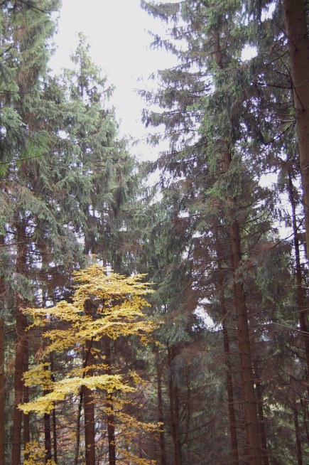 Nordenau Germany www.inspirationandexplorations.wordpress.com