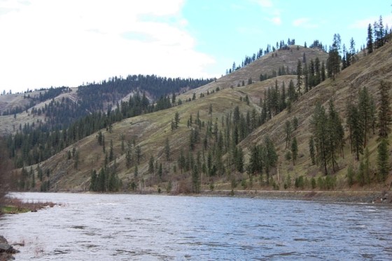 Drive through Idaho National Forest