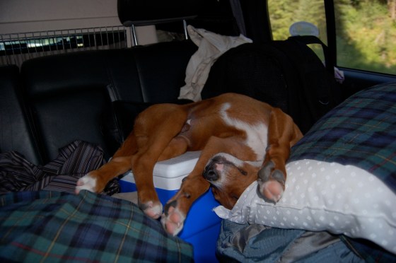 Idaho City Pondi Upside Down