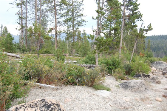 Idaho City Stanley Lake