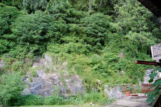 Port Deposit Backyard 1