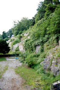 Port Deposit Backyard