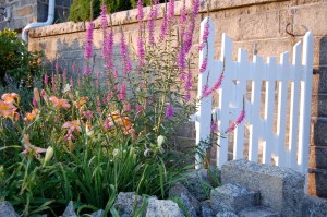 Port Deposit Flowers