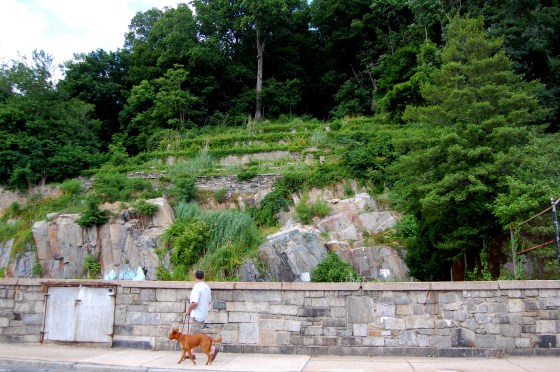 Port Deposit Stone Terrace