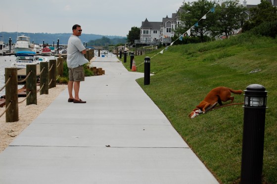 Port Deposit Townhouses by the Water