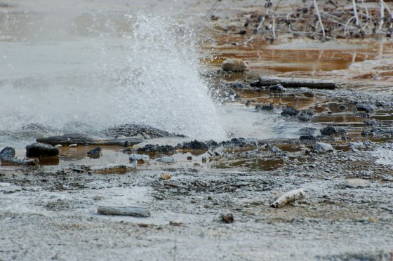 Yellowstone Closeup Geyser
