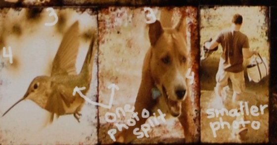 collage vertical 4x6