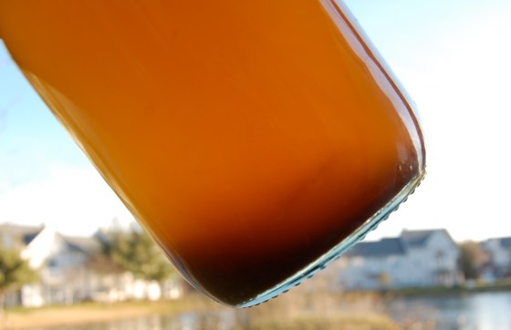 sediment that forms as ginger beer ferments- this is good for you!