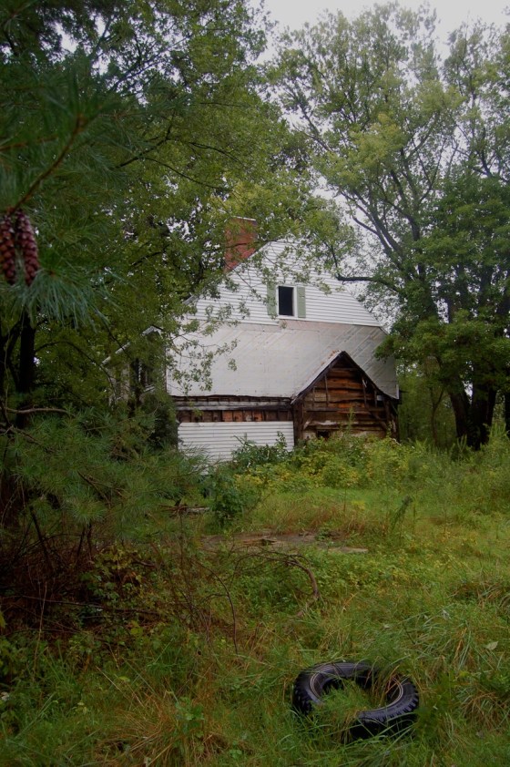abandoned house in the woods