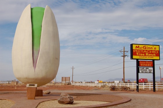 the giant pistachio