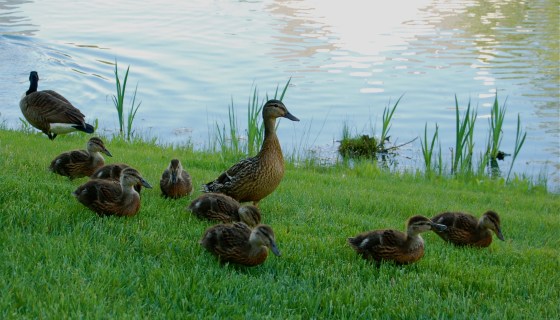 isn't she beautiful? proud mommy. 