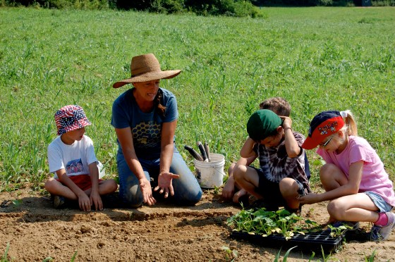 cute orange wheelbarrow