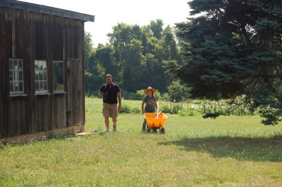 Penn Farm Wheelbarrow