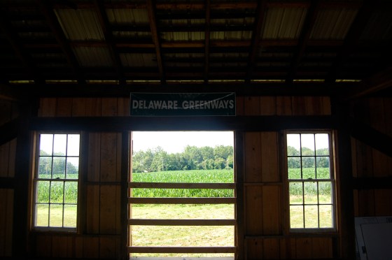View of cornfields from the barn