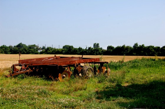 tractor on the farm
