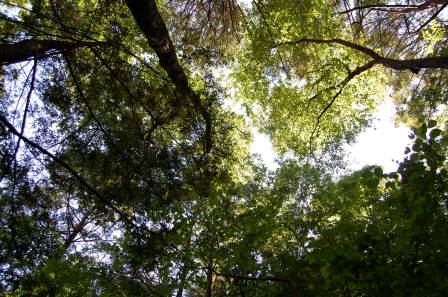 the view from our nap by the falls