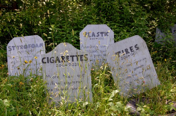 educational trash graveyard