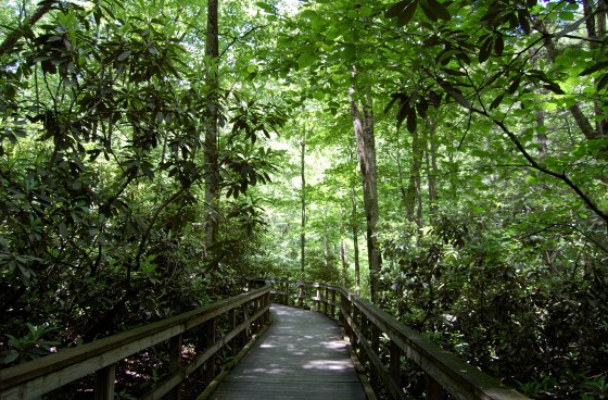 wooden boardwalk trails connect the falls